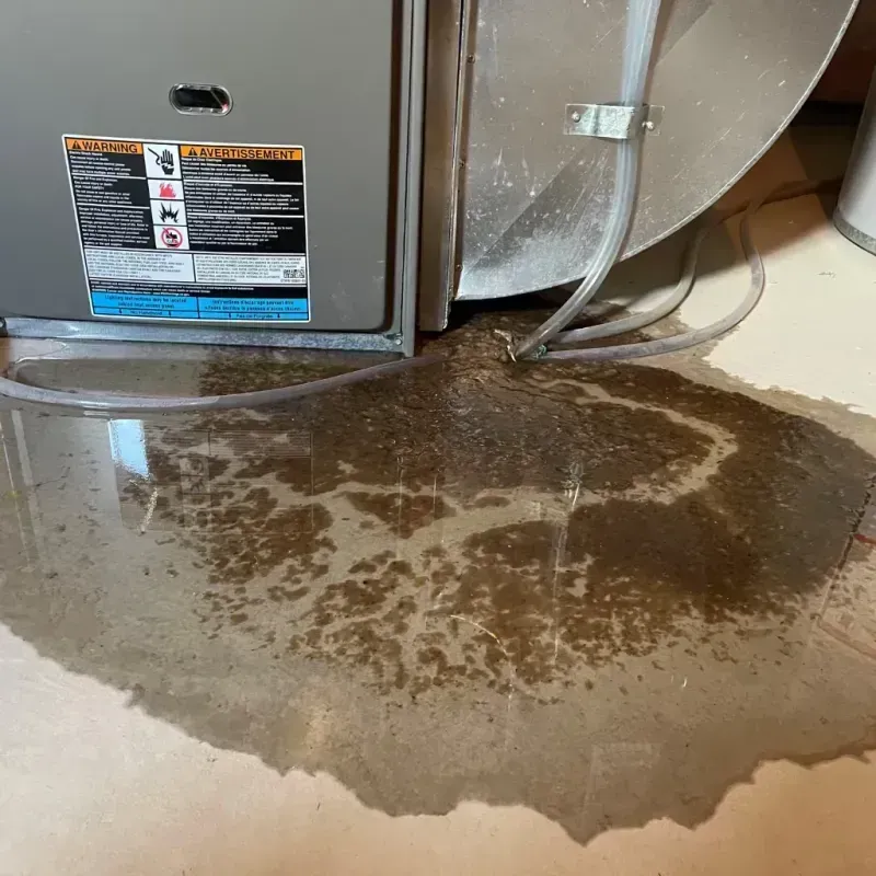 Appliance Leak Cleanup in Sevierville, TN